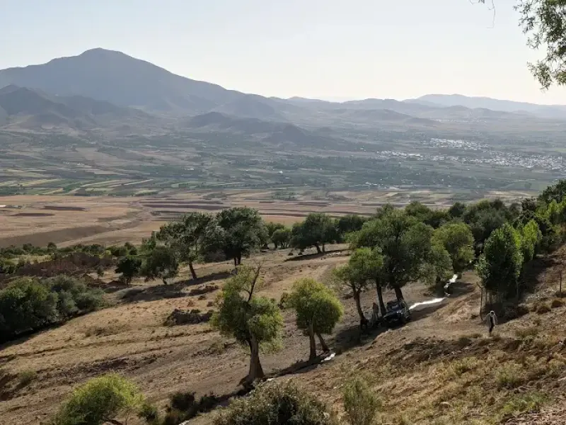 پناهگاه حیات‌وحش راسبند