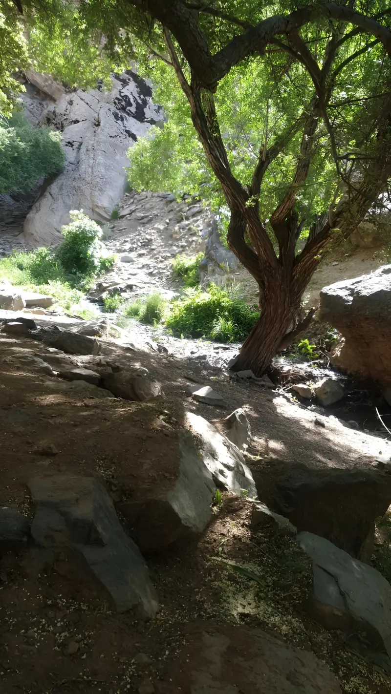 آبشار قلوز - تصویر 2