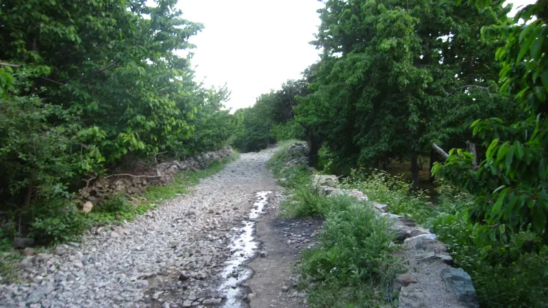 روستای افجه - تصویر 7