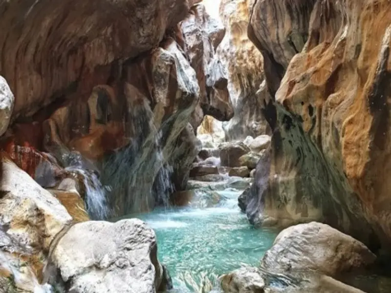 تنگ ویژدرون