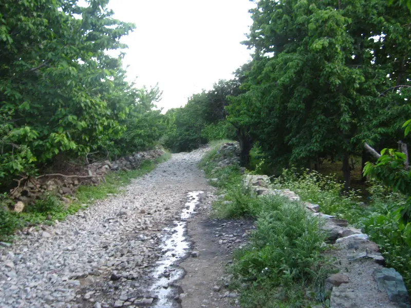 روستای افجه - تصویر 7