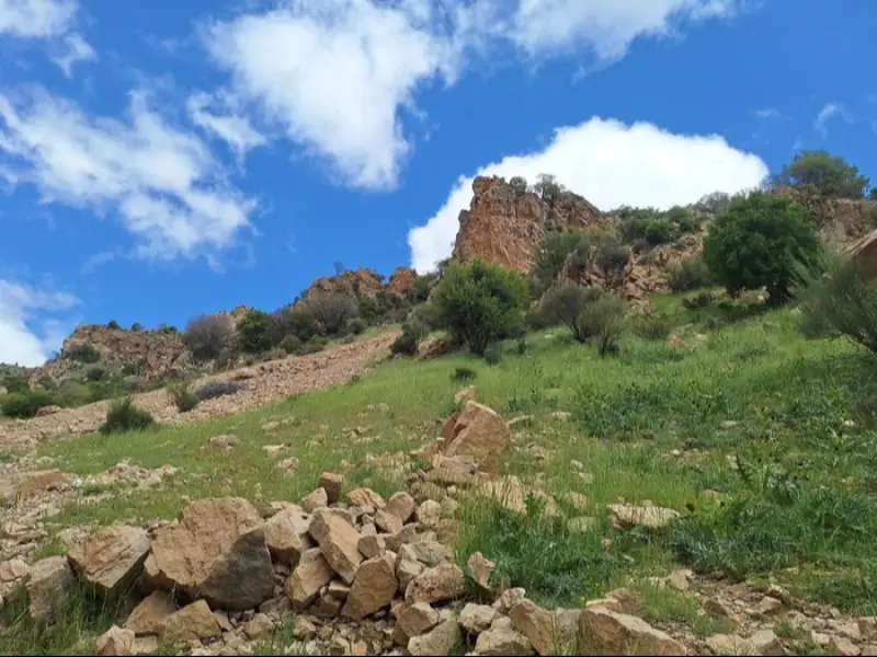 تنگ خانی