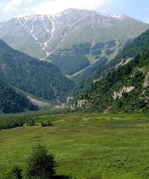 جنگل دیزمار، آذربایجان شرقی