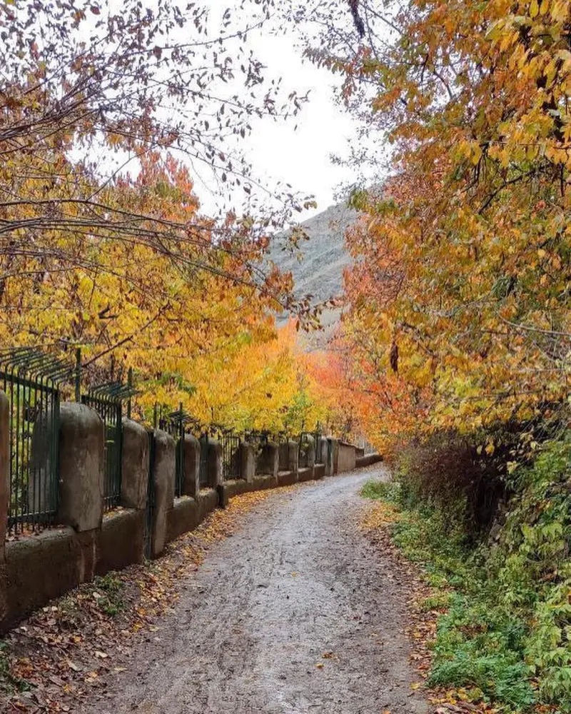 روستای آهار - تصویر 10