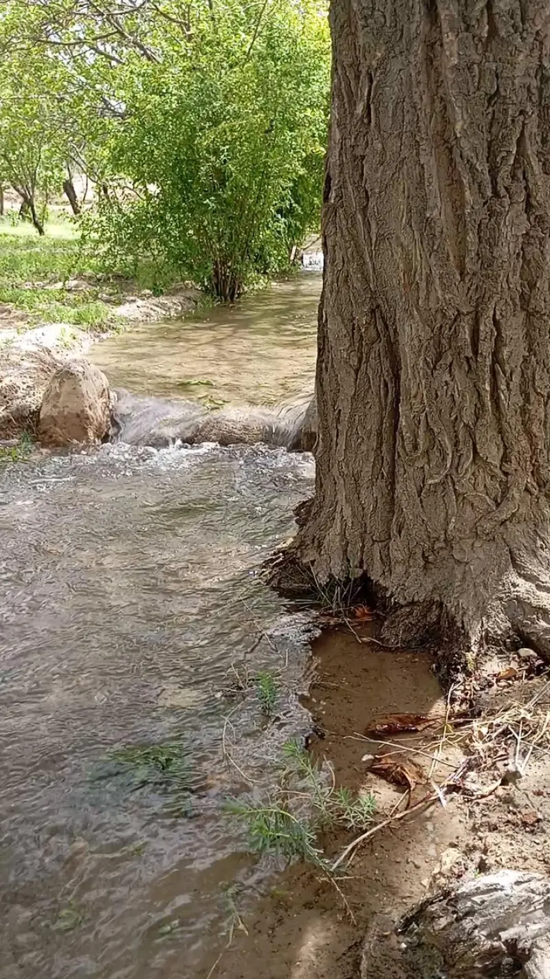 روستای باباکلا - تصویر 4