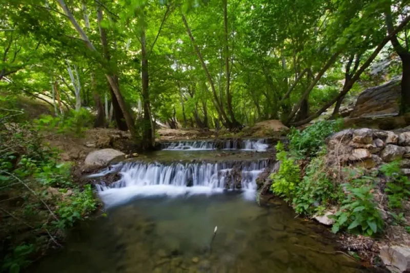 تنگ بوان - تصویر 1