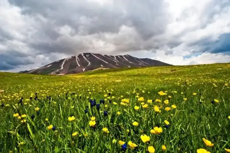 کوه سهند - تصویر 7
