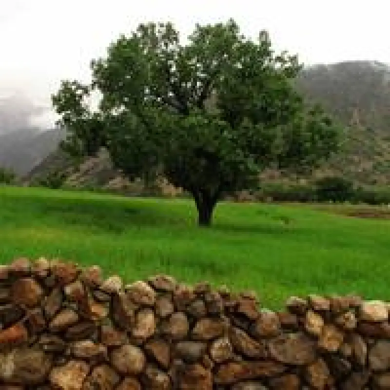 پارک ملی دز - تصویر 6