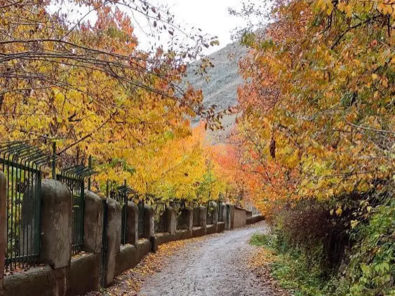 روستای آهار - تصویر 10