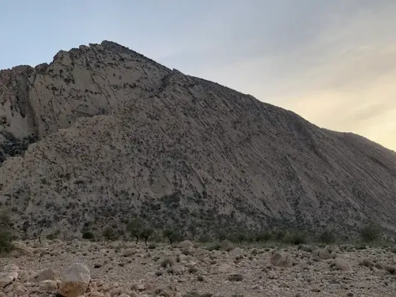 جنگل چاتیز - تصویر 6