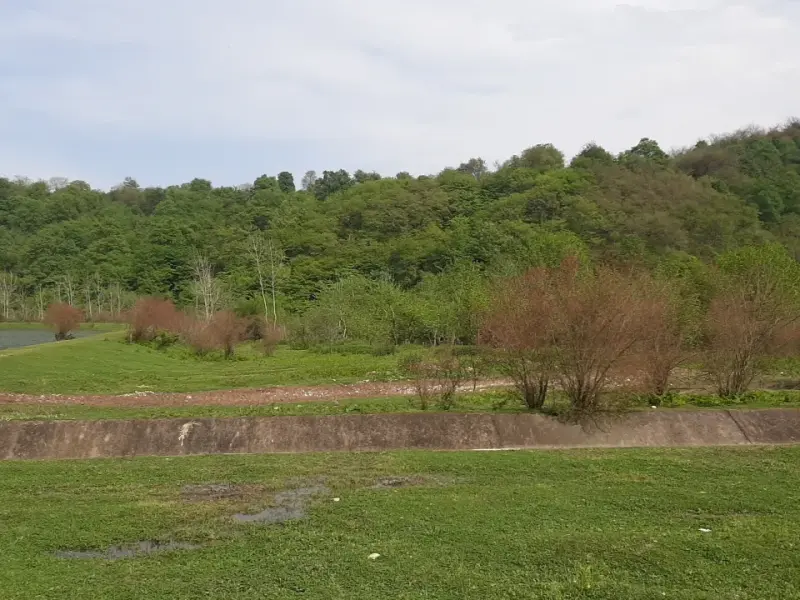 آب بندان ساروکلا - تصویر 2