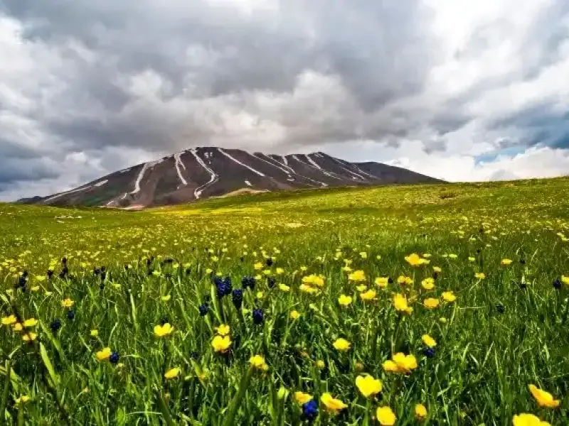 کوه سهند - تصویر 7