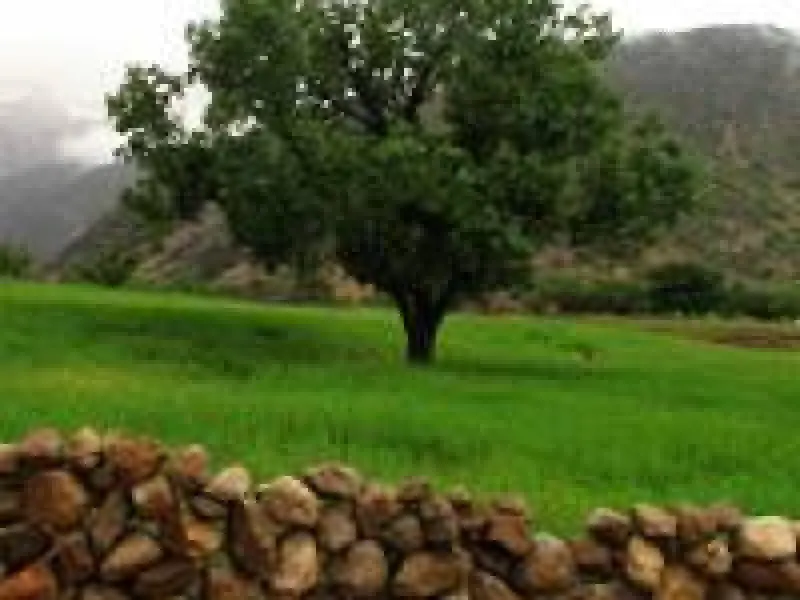 پارک ملی دز - تصویر 6
