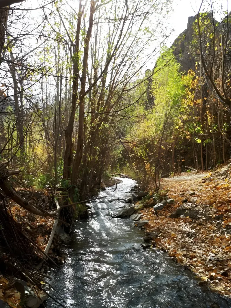 دره کشوه - تصویر 9