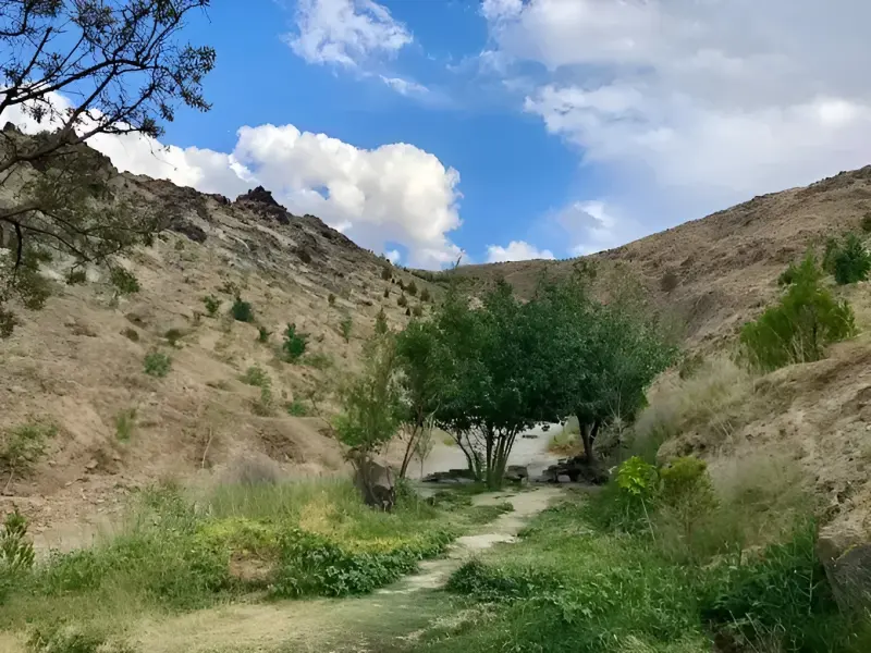 اکو پارک چهل بوستان - تصویر 2
