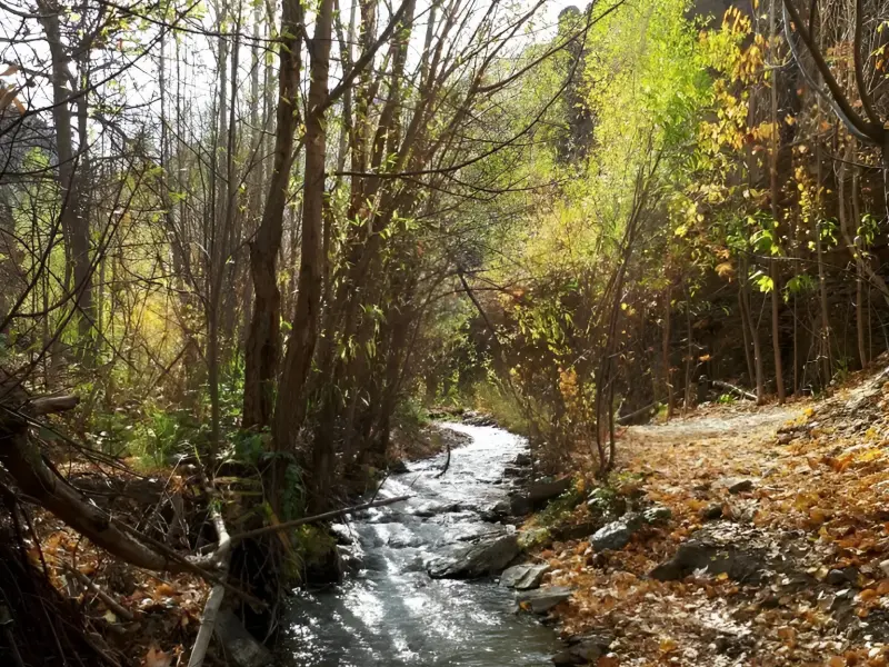 دره کشوه - تصویر 9