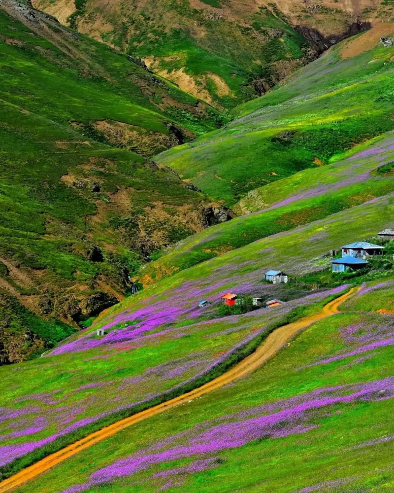 ییلاق پونل - تصویر 3
