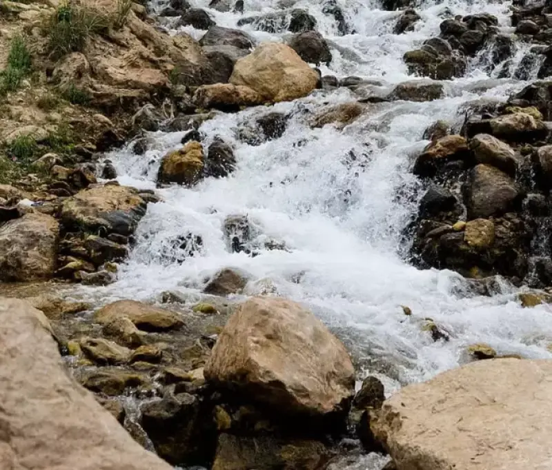 آبشار نوژیان - تصویر 3