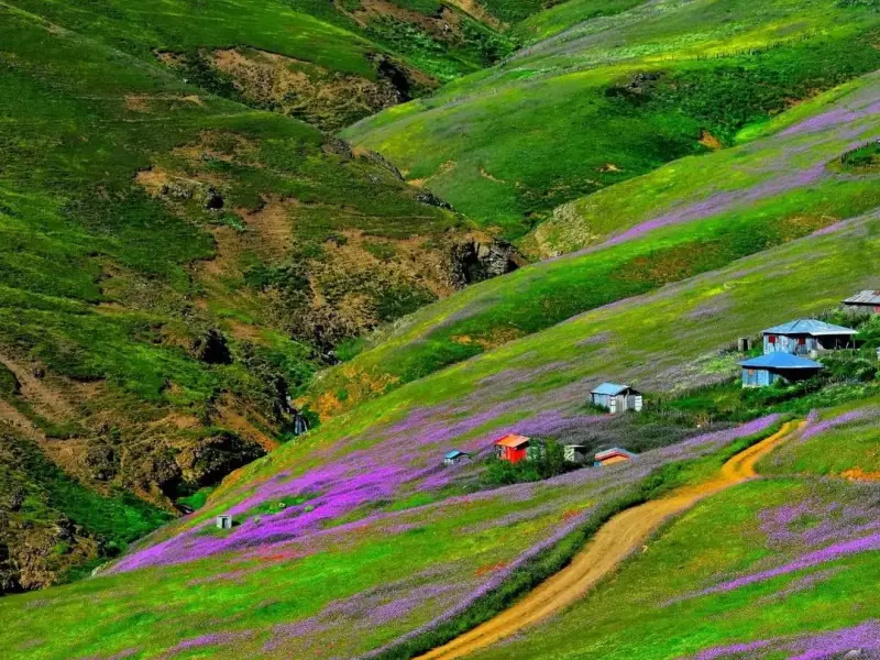 ییلاق پونل - تصویر 3