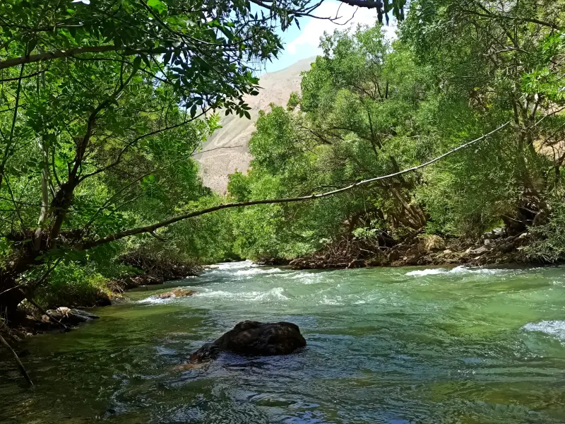 دره جرمی - تصویر 4