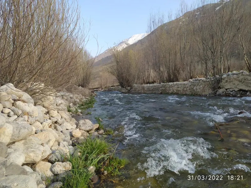 روستای ونایی - تصویر 3
