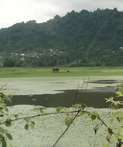 روستای سالکویه، گیلان