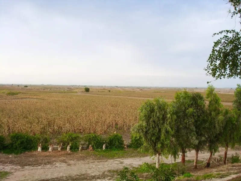 پارک ملی دز - تصویر 7