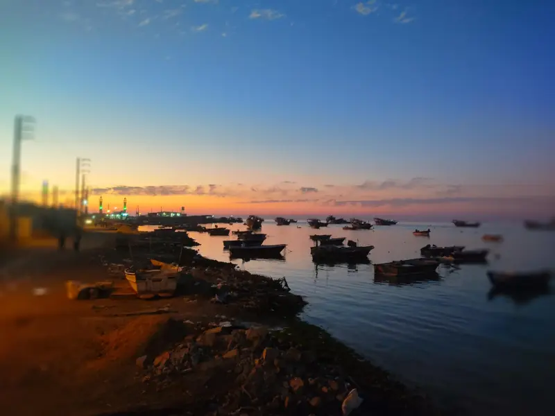 جزیره عباسک