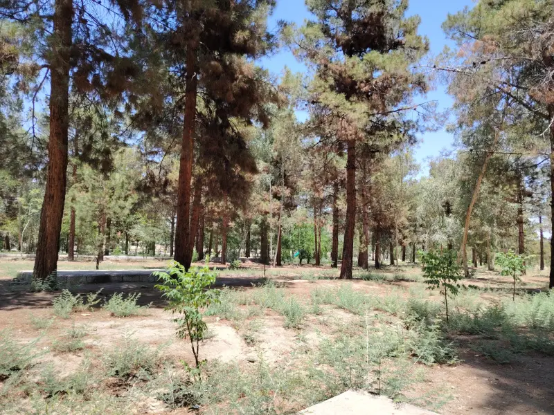 پارک جنگلی سوکان