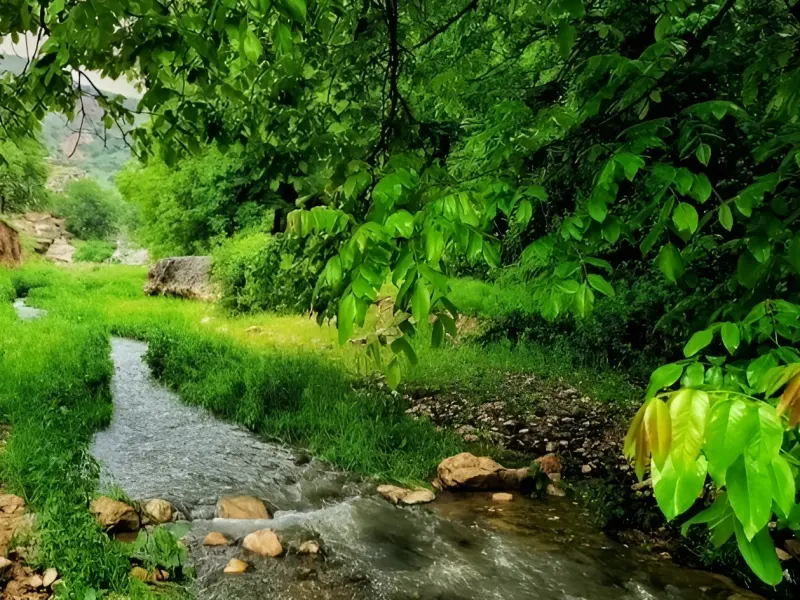 روستای نرگسلو علیا - تصویر 4
