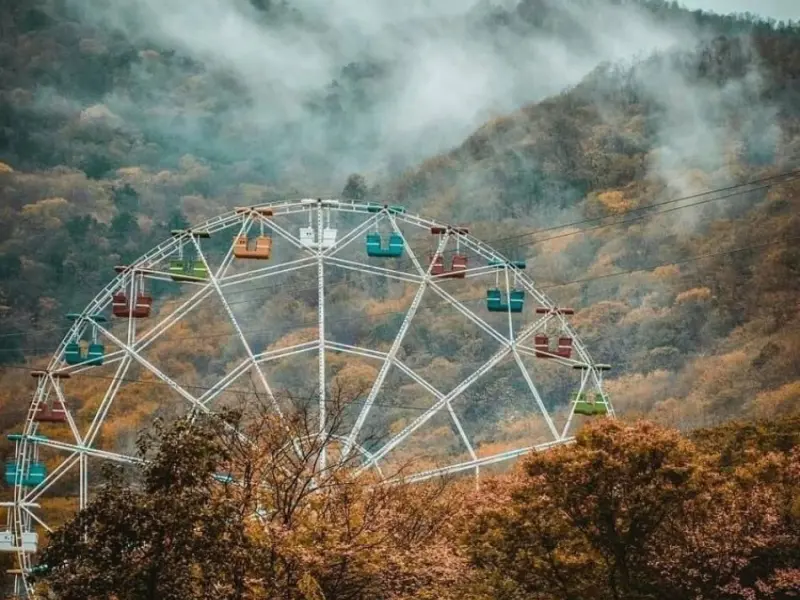 پارک جنگلی ناهار‌خوران