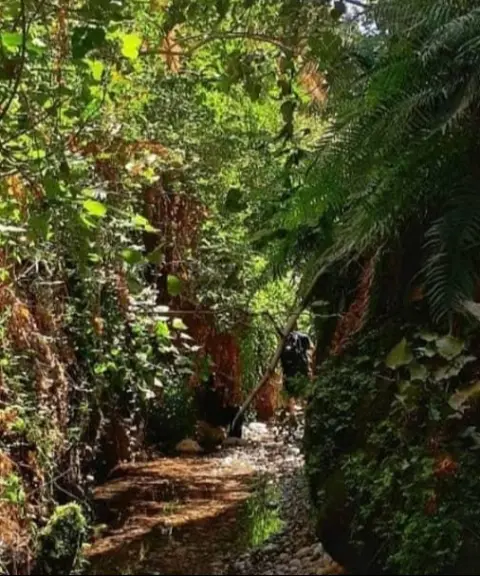 دره پل‌پرزین، خوزستان