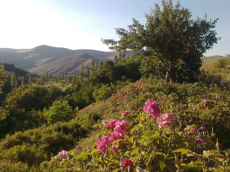 روستای مجارشین - تصویر 2