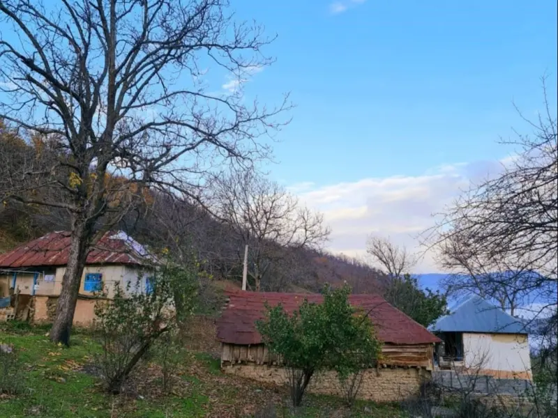 روستای گل خواران