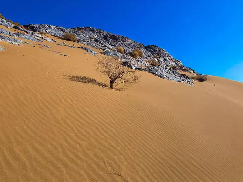 کویر پلوند - تصویر 2