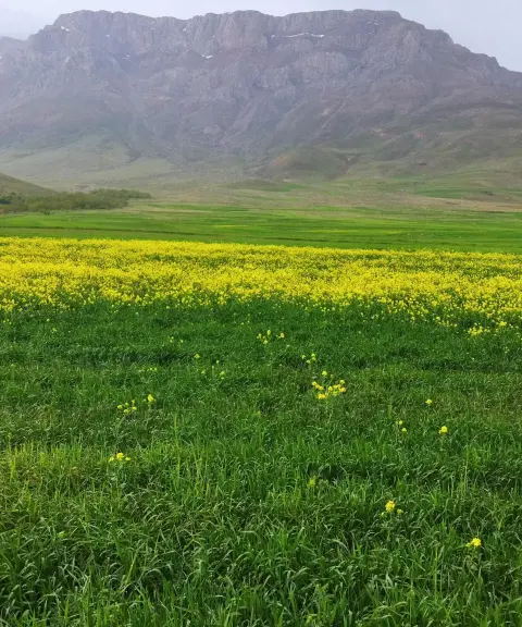 منطقه حفاظت شده خانگرمز، همدان