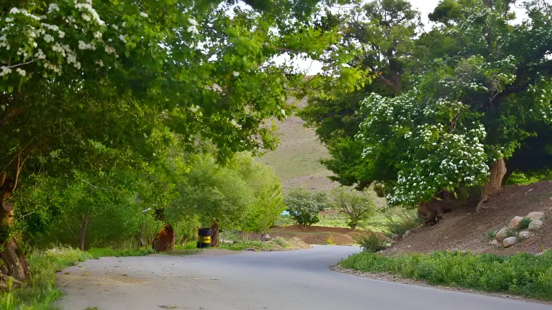 روستای همگین - تصویر 1