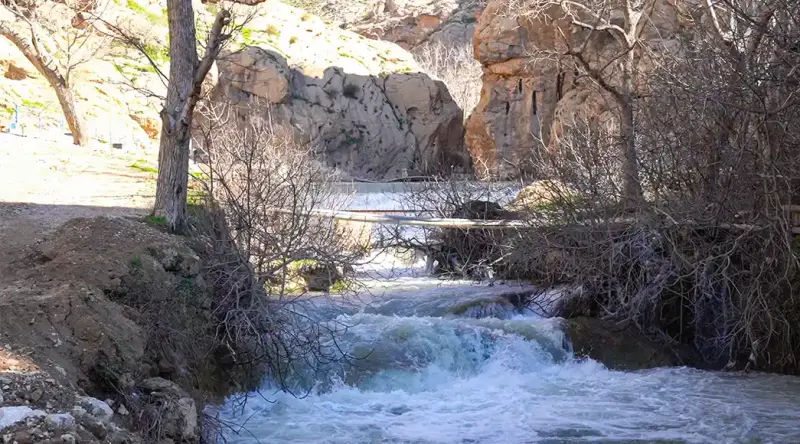روستای شالان - تصویر 2