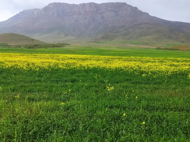منطقه حفاظت شده خانگرمز