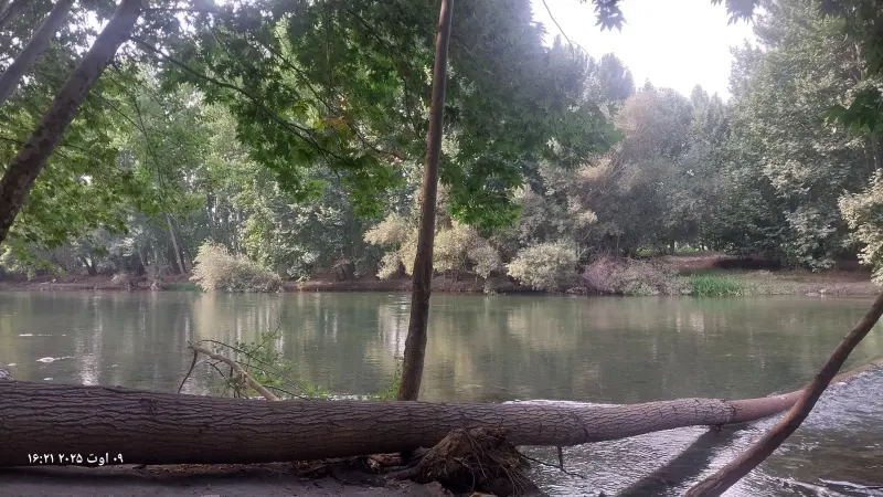 باغ‌بهادران - تصویر 3