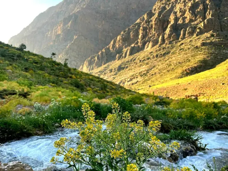 آبشار کوه گل - تصویر 1