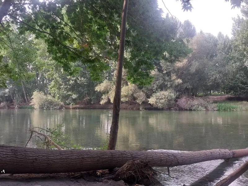 باغ‌بهادران - تصویر 3