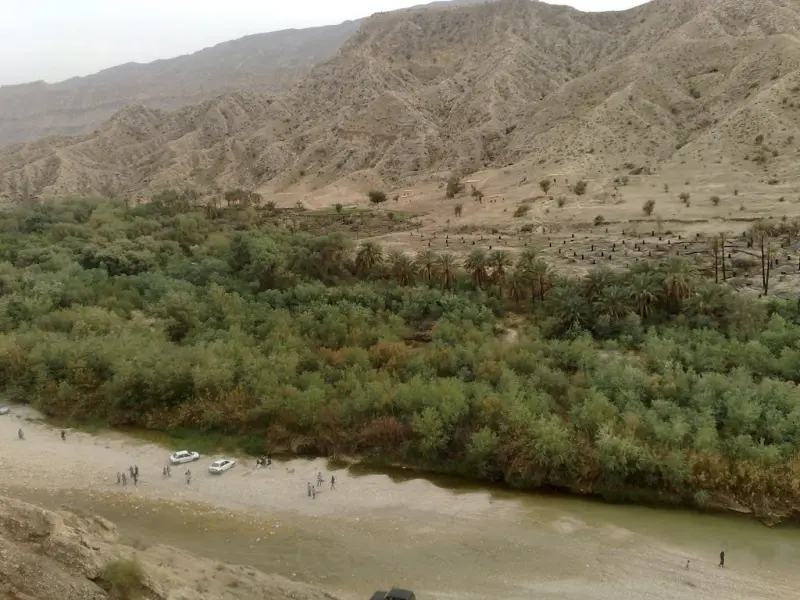 جنگل گلوبردکان - تصویر 2