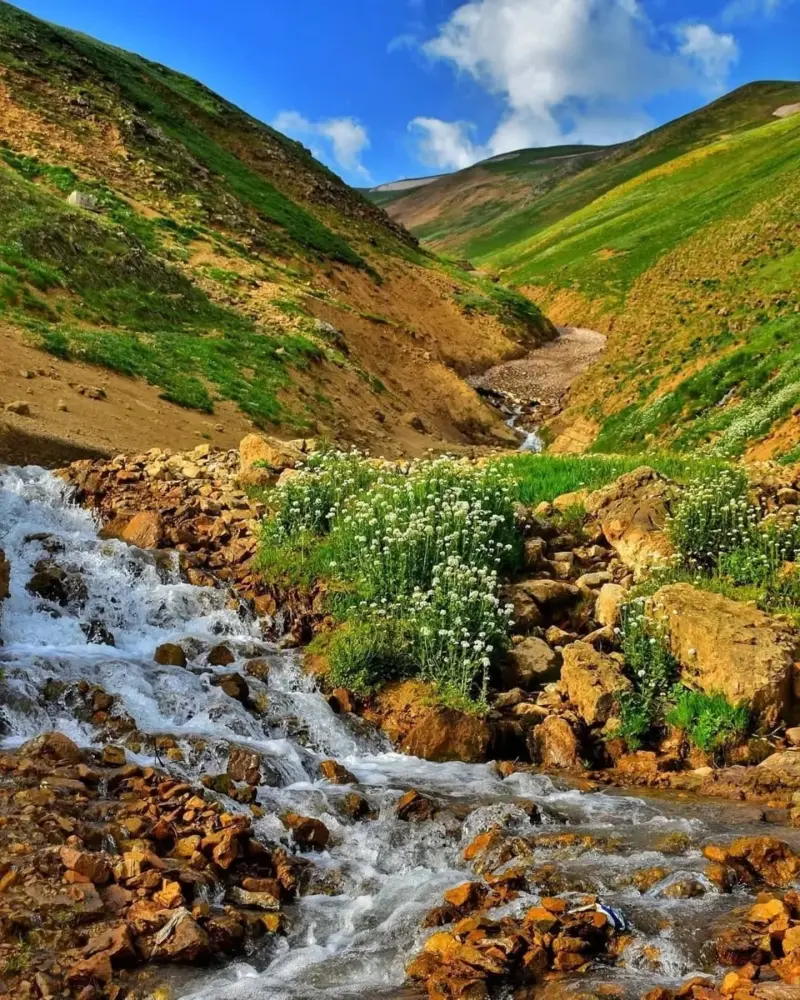 ییلاق پونل - تصویر 9