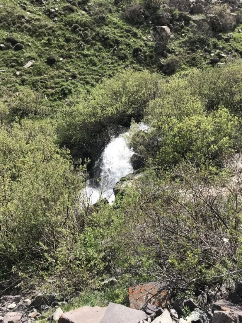 آبشار دگاهی - تصویر 3