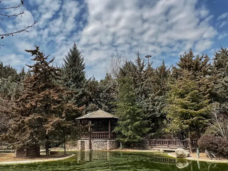 باغ پرندگان - تصویر 8