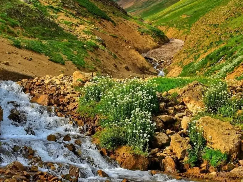 ییلاق پونل - تصویر 9