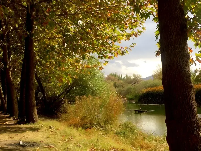 باغ میکاییل (پارک ملت مهاباد) - تصویر 7