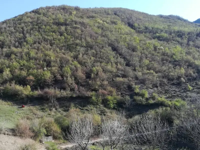 روستای الستان - تصویر 4