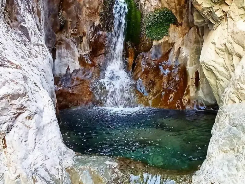 روستای دلفارد - تصویر 1